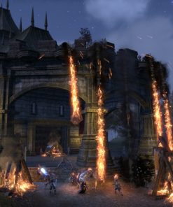 The Elder Scrolls Online - PC Key Code Steam Game Global