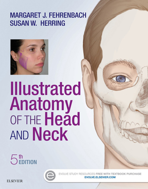 Illustrated Anatomy of the Head and Neck (Revised) 5th Edition – PDF ebook Illustrated Anatomy of the Head and Neck (Revised) 5th Edition – PDF ebook