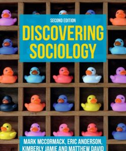 Discovering Sociology 2nd Edition – PDF ebook