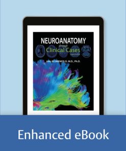 Neuroanatomy through Clinical Cases 3rd Edition – PDF ebook