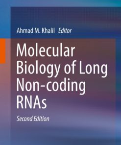 Molecular Biology of Long Non-coding RNAs 2nd Edition – PDF ebook