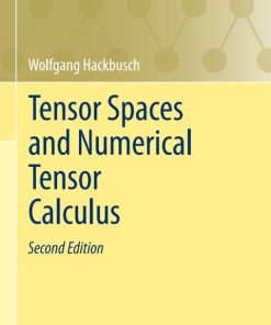 Tensor Spaces and Numerical Tensor Calculus 2nd Edition – PDF ebook