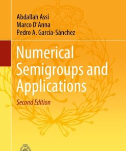 Numerical Semigroups and Applications 2nd Edition – PDF ebook