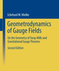 Geometrodynamics of Gauge Fields On the Geometry of Yang-Mills and Gravitational Gauge Theories 2nd Edition – PDF ebook