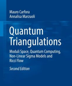 Quantum Triangulations, Moduli Space, Quantum Computing, Non-Linear Sigma Models and Ricci Flow 2nd Edition – PDF ebook