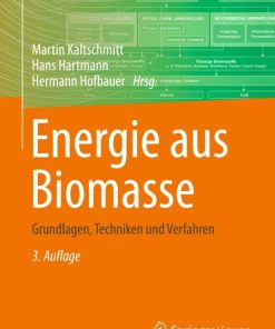 Energie aus Biomasse, Grundlagen, Techniken und Verfahren 3rd Edition – PDF ebook