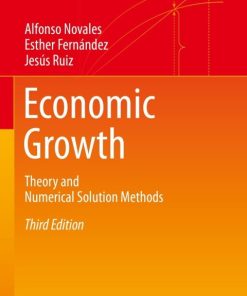 Economic Growth, Theory and Numerical Solution Methods 3rd Edition – PDF ebook